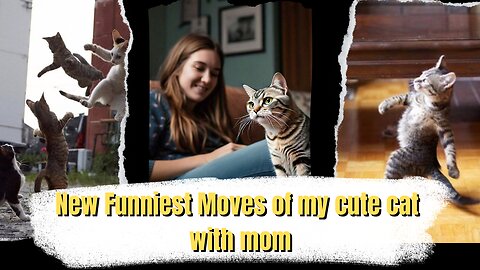 New funniest and adorable moves of cat with mom