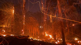 Report Says California's Thomas Fire Was Caused By Power Lines