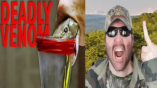 Deadliest Job In The World - Snake Milker Top 10! (Brave Wilderness) REACTION!!! (BBT)