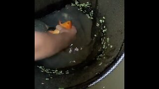 Massive water change rereleased the fish