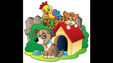 House Pets! Videos for babies, toddlers, kids