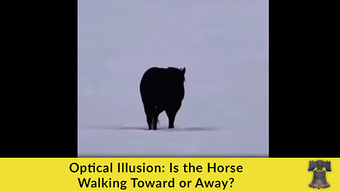 Optical Illusion: Is the Horse Walking Toward or Away?