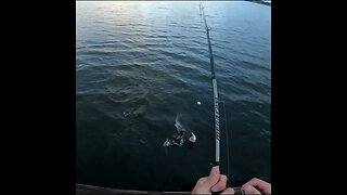 Set the Hook!