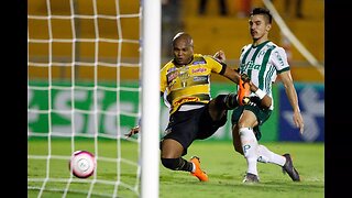 Gol de Willian - Novorizontino 0 x 3 Palmeiras - Narração de Fausto Favara