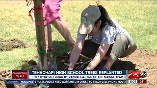 Tehachapi High School plants new trees after vandalism