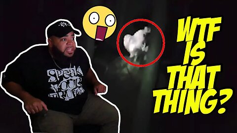 THAT CAN'T BE REAL - 5 CREEPY Creature Videos That Are SCARY as HECK !