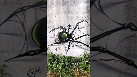 DOPE GRAFFITI SPIDER 🕷️😮 #graffiti #graffitiart #shorts