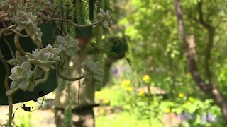 There's a hidden,16-acre garden located off a busy street in Strongsville