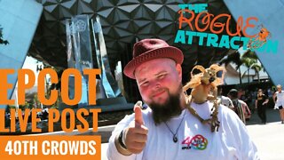 Live Epcot 40th Post Crowd Levels | How Has Recent Price Hikes Affected Attendance