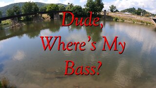 Dude, Where's My Bass