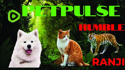 petPulse: Your Ultimate Pet Paradise