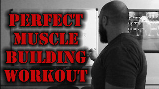 Perfect Muscle Building Workout