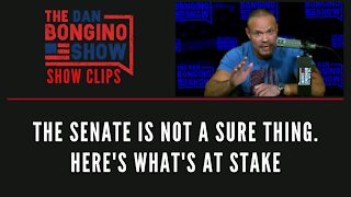 The Senate Is Not A Sure Thing. Here's What's At Stake - Dan Bongino Show Clips