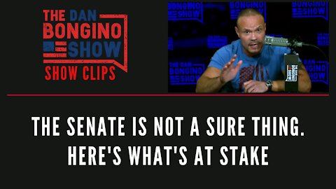 The Senate Is Not A Sure Thing. Here's What's At Stake - Dan Bongino Show Clips