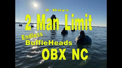 2 DAYS - 2 MAN LIMITS. ENDLESS BUFFLEHEADS in Outer Banks NC