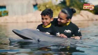 Discovery Cove | Morning Blend