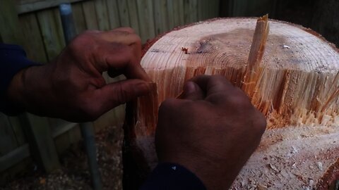 Structural Stirrups how nature makes them perfectly #stirrupDesign #stirrups Tree Growth Rings