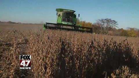 Local farmers worry about impact of tariffs