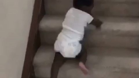 Hilarious Little Boy Slides Down the Stairs