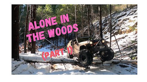 Alone In The Woods Part 1- Don’t Forget The Winch!