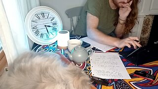 🐈STUDY WITH ME 📚| Day:15 | REAL TIME STORM | calm | 1 hour |