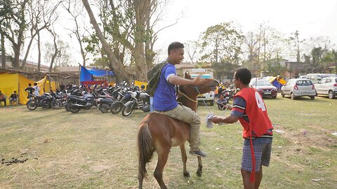 Horse race || Horse racing