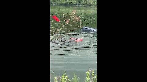 Rescue swimmers save driver from sinking car