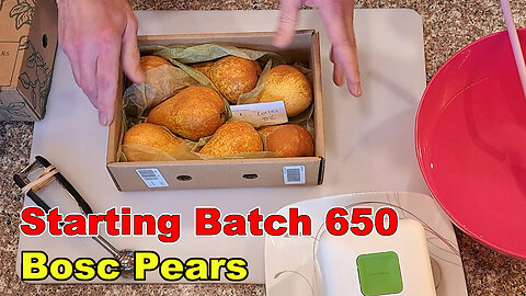 Freeze Drying Batch 650 - Bosc & Comice Pear Slices & Cubes
