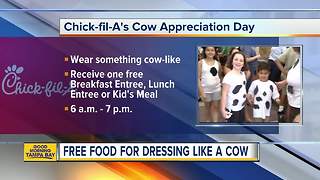 Get free chicken for Cow Appreciation Day at Chick-fil-A