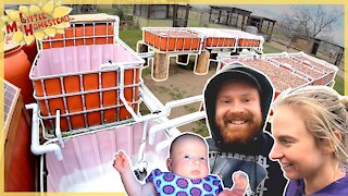 DIY Aquaponics Build gets Water, Barn Door Art & Make Your Own Face Mask | Weekly Peek Ep229