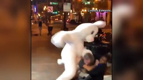 Person in Easter bunny suit involved in Orlando fight