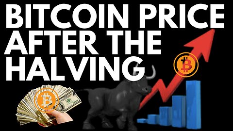 WHAT THE BITCOIN PRICE DOES AFTER THE HALVING! !