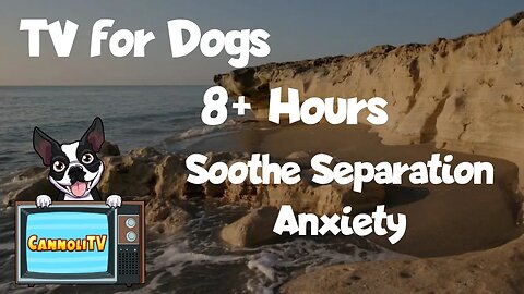TV for Dogs 8 hours to soothe Separation Anxiety