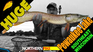 Topwater Northern Pike Wakebait Slam on 2nd Cast! Huge Northern Pike!! (Kayak Fishing)