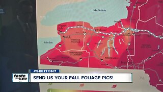 Send us your fall foliage pics!