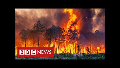 South of France faces “heat apocalypse” as thousands flee their homes