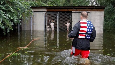 Héroes rescatan a 6 perros que dejaron encerrados en una jaula tras el paso de un huracán