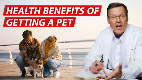 Health Benefits of Getting a Pet