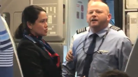 Aggressive American Airlines employee HITS woman with stroller and challenged passenger to 'HIT ME'