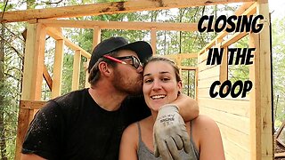 Closing In The New Chicken Coop | Solid Chicken Coop Build