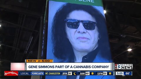 Gene Simmons gets into cannabis industry