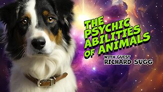 Animals with Paranormal Abilities & Who is Bobbie The Wonder Dog?
