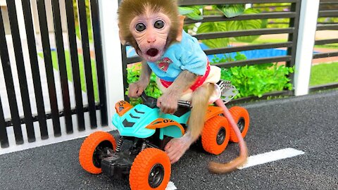 Monkey Baby Bon Bon rides a motorbike and plays in the park with the puppy