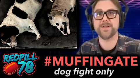 RedPill78 #MUFFINGATE (original clip, dog fight only)