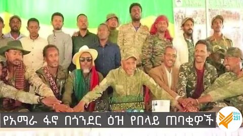 የአማራ ፋኖ በጎንደር ዕዝ የበላይ ጠባቂዎች በወቅታዊ ጉዳዮች ላይ በጋራ የሰጡት ማብራሪያ