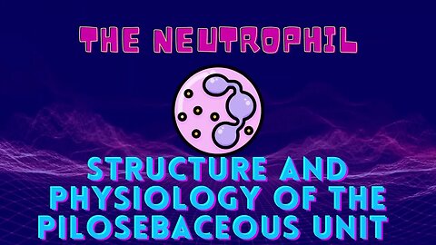 Structure and Physiology of the Pilosebaceous Unit. #physiologyvideos #haircare #bristle