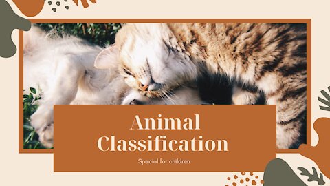 Animal Classification /Evolution / Biology / FuseSchool
