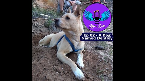 02 - A Dog Named Bentley 🐾