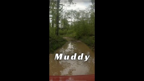 Fresh Rain - More Mud - Jeep XJ Having Fun