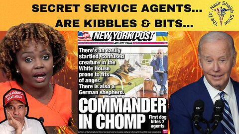 COMMANDER iN MUTT Takes a Bite Out of BIDEN Crime Family - Agents Are Now TASTY Kibbles & Bits